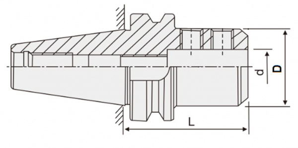 Оправка Weldon SLN-16 BT-50 L100 SPK (BT50-SLN16-100)